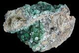 Fluorescent, Green Fluorite Crystal Cluster - Rogerley Mine #99455-2